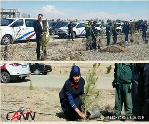 عکس خبری| به مناسبت روز درختکاری/ معراجیها درخت کاشتند