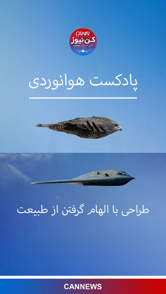 طراحی با الهام گرفتن از طبیعت 