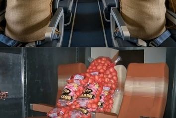 سیب‌زمینی‌ها در پرواز؛ آزمایش عجیب مهندسان بوئینگ