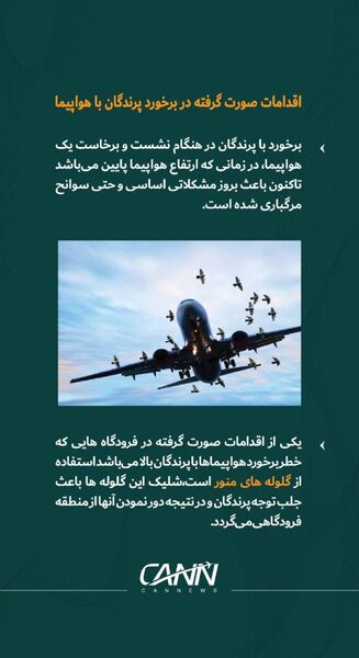 اقدامات صورت گرفته در برخورد با پرندگان 