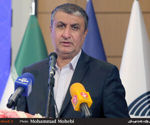 اسلامی: گزارش نهایی سقوط هواپیمای اوکراینی به‌زودی منتشر می‌شود