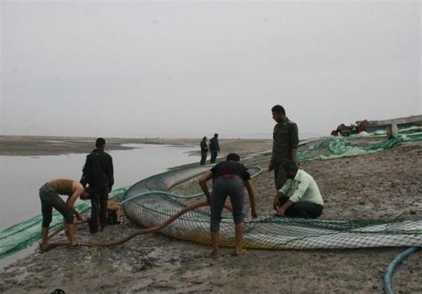 کشف خط لوله قاچاق سوخت هواپیما در بندرعباس +فیلم