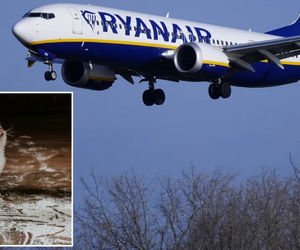 گربه‌ای باعث لغو پرواز رایان‌ایر در رم شد! +فیلم