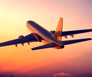 ممنوعیت فروش تور در مسیر کیش