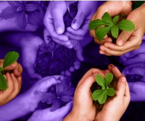  چگونه از کسب و کارهای کوچک تر در صنعت گردشگری حمایت کنیم؟
