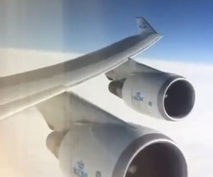  بال‌های هواپیما تکه‌های سفت و سخت فلزی نیستند
