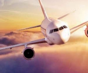 ارائه غذاهای گیاهی با گزینه‌های جدید در پروازهای چهار شرکت هواپیمایی 