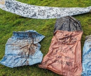 کشف مرموز یک «پرّۀ هواپیما» که در مرداب دفن شده بود