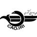 توضیحات سازمان هواپیمایی کشوری در خصوص اظهارات معاون وزارت بهداشت پیرامون عدم رعایت حداکثر 60درصد ظرفیت پذیرش مسافر
