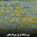 پرردیاب‌ترین پروازهای سال ۲۰۲۵ در FlightRadar24