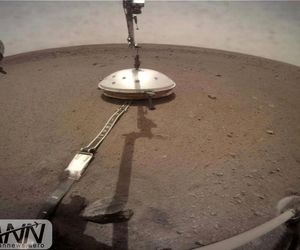 آخرین خبرها از Insight