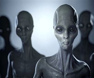 ایلان ماسک در جستجوی یوفوها!