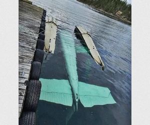 سقوط هواپیمای تفریحی دریایی در نزدیکی پاول ریور؛ سه نفر مجروح شدند
