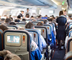 حیوان عجیب و غریب موجب بازگشت پرواز به فرودگاه شد + عکس