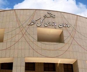 هشدار بازرسی به سازمان هواپیمایی در پی درج تکمیل ظرفیت در سامانه‌ها