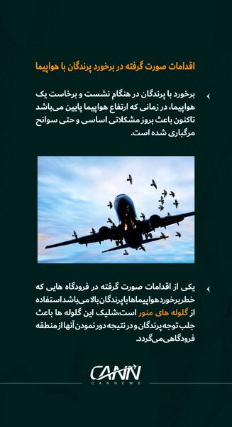 اقدامات صورت گرفته در برخورد پرندگان با هواپیما