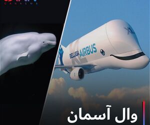 وال آسمان +تصاویر