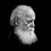 پیکر استاد ابتهاج به ایران رسید