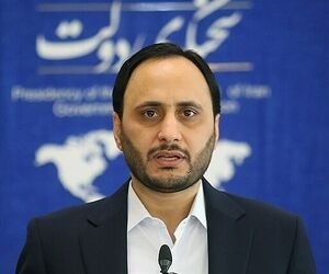 اظهارات سخنگوی دولت درباره ناوگان هوایی و قیمت بلیت هواپیما + فیلم