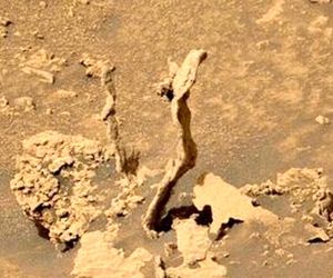 پیدا شدن ردپایی عجیب در مریخ+عکس