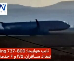  تایپ هواپیمای سانحه دیده در کره‌جنوبی چه بود؟