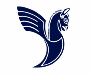 بهره برداری از آشیانه هواپیما‌های پهن پیکر 