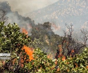 انجام ۱۲ سورتی پرواز برای اطفای حریق الیت