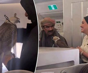 مسافران قطری با شاهین‌های شکاری خود سوار هواپیما شدند! +فیلم