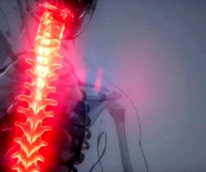 آغاز یک تجربه برای مقابله با تحلیل عضله فضانوردان