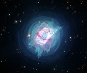 حشره‌ای در پوسته‌ای از جواهرات رنگارنگ در اعماق آسمان!