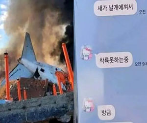 پیامکی پیش از سقوط +تصویر