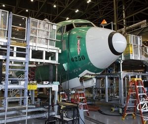 ارگان‌های رسمی هوانوردی ایالات متحده معتقدند برخورد با پرنده از عوامل سقوط 737 مکس است