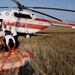 آتش‌سوزی جنگل‌ها و مراتع استان گلستان مهار شد