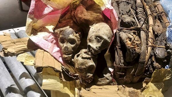 سگ گمرک فرودگاه بوستون میمون‌های مومیایی شده را در چمدان‌های یک مسافر شناسایی کرد